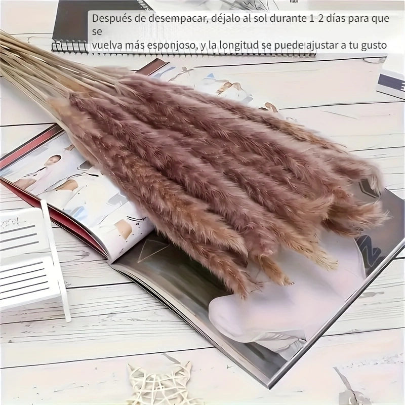 50pcs Decoraciones de Hierba de Pampa de Alta Calidad - Ramos de Caña Seca, Adecuados para Decoración del Hogar, Decoración de Eventos, Decoración Central de Bodas, Temporadas Festivas (Navidad, Halloween, Pascua, Hanukkah, Acción de Gracias)
