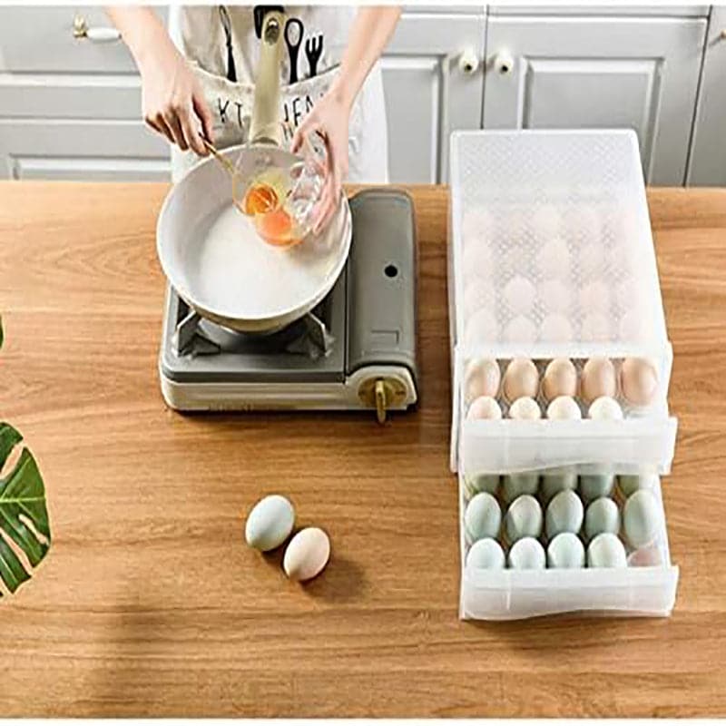 Organizador de Huevos 60 de Rejillas Plasticas