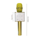 Microfono Portátil para Karaoke - sin varillas, Carga Tipo-C, Mejora de Bajos, Ideal para Fiestas, Reuniones Familiares y Regalos de Cumpleaños [4 Escenarios]