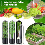 Recipiente de almacenamiento de alimentos de vainilla, dispositivo para verduras, taza fresca de vainilla, contenedor de brotes de bambú, recipientes para verduras en el refrigerador, contenedores para hierbas y cilantro, conservador de comida para nevera