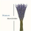 50pcs Flores Secas de Lavanda Natural - Aroma Duradero para Decoración del Hogar, Calmante y Purificador, Perfecto para el Ambiente de la Sala de Estar