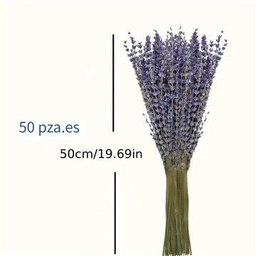 50pcs Flores Secas de Lavanda Natural - Aroma Duradero para Decoración del Hogar, Calmante y Purificador, Perfecto para el Ambiente de la Sala de Estar
