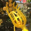 1pc Cabezal Recogedor de Frutas Portátil - Empuñadura Ergonómica Antideslizante, Diseño Hueco para la Cosecha Segura de Frutas, Herramienta Duradera para Manzanas, Naranjas y Bayas - Herramienta Fácil para Recolectar Frutas en Casa y Granja