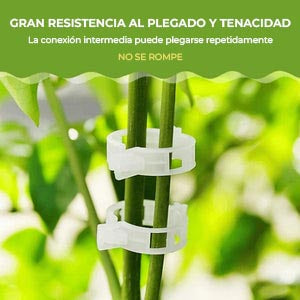 GrowGuard™ - 100 Unidades Clips de soporte para plantas