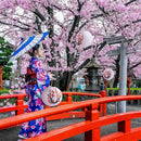 Kit de Decoraciones para Fiestas Japonesas y Chinas de 16 Piezas - 6 Linternas Japonesas y 10 Linternas Chinas Rojas para Año Nuevo, Festival de Primavera, Boda, Fiesta, Ocasión de Boda, Ocasión de Despedida de Soltera, Ocasión Universal