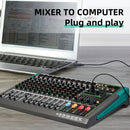 Consola de Mezcla de Audio Profesional DEPUSHENG - PA12/PA16, 12/16 Canales con Interfaz, Amplificador de Potencia, ABS Negro, Enchufe US, 110-130V