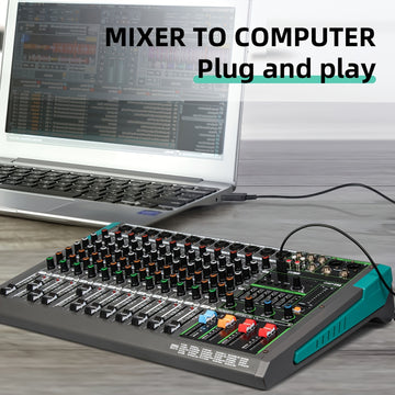 Consola de Mezcla de Audio Profesional DEPUSHENG - PA12/PA16, 12/16 Canales con Interfaz, Amplificador de Potencia, ABS Negro, Enchufe US, 110-130V