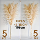 Pasto de las pampas natural de 10 ramas, 116.84 cm, decoración para bodas, fiestas, casas de campo y estilo bohemio