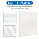 Filtro C545 para Winix C545 Filtro S, 2 Filtros True HEPA + 8 Filtros de Carbón Activado Número de Pieza 1712-0096-00 y 2522-0058-00