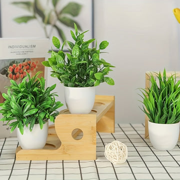 Juego de 4 Plantas de Eucalipto en Maceta Realistas - Perfecto para Decoración de Hogar y Oficina, Incluye Contenedores