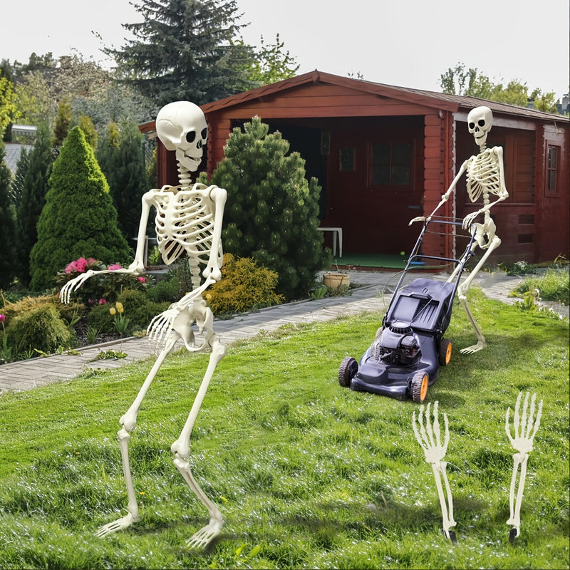 Esqueleto de tamaño real para Halloween con sombrero de bruja, esqueleto articulado de cuerpo completo de 164,59 cm para decoración, adorno de esqueleto articulado de pie de plástico para interiores y exteriores en fiestas de casa embrujada, jardín, no r