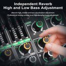 tyinneran Mezclador de audio inalámbrico profesional de 6 canales USB, reverberación de 256 ohmios, alimentación fantasma de 48V, bajo profundo, sonido de alta fidelidad, con control de tempo integrado y control de reproducción para grabación de estudio