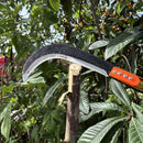 1pc Hoz de Acero Inoxidable Duradera - Mango Largo y Diseño Ergonómico, Herramienta Multifuncional para Cosecha, Corte de Hierba, Deshierbe y Jardinería | Hoja de Acero al Carbono con Construcción Robusta