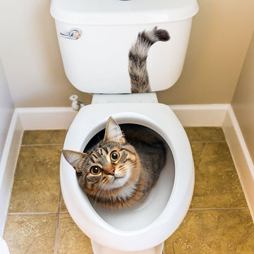 Gato divertido en el inodoro, adhesivo autoadhesivo para baño, diseño de animal rectangular, decoración de baño para el hogar, uso único.