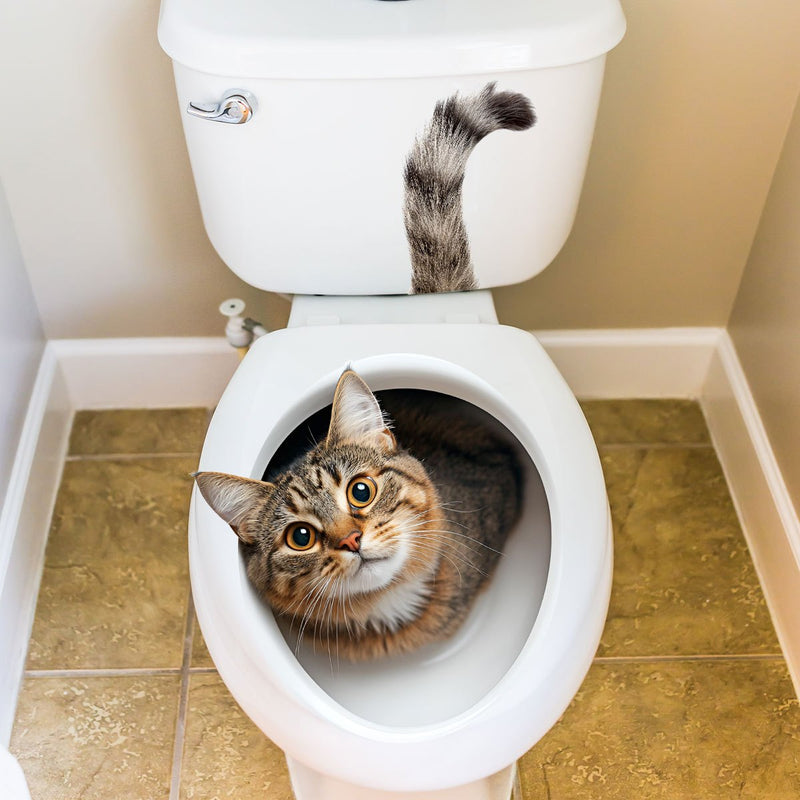 Gato divertido en el inodoro, adhesivo autoadhesivo para baño, diseño de animal rectangular, decoración de baño para el hogar, uso único.