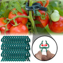 50 Piezas de Soportes para Plantas Resistentes - Pinzas Abiertas para Tomate, Pepino y Guisantes - Herramienta de Jardinería Duradera en Plástico para Cultivo Interior/Exterior - Estabilidad y Crecimiento Saludable de Vegetales