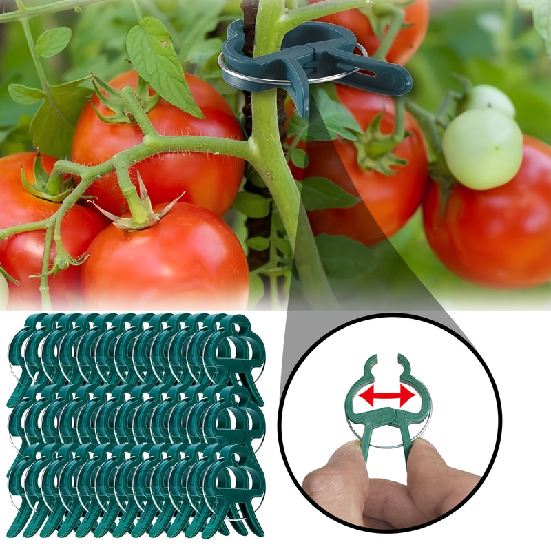 50 Piezas de Soportes para Plantas Resistentes - Pinzas Abiertas para Tomate, Pepino y Guisantes - Herramienta de Jardinería Duradera en Plástico para Cultivo Interior/Exterior - Estabilidad y Crecimiento Saludable de Vegetales
