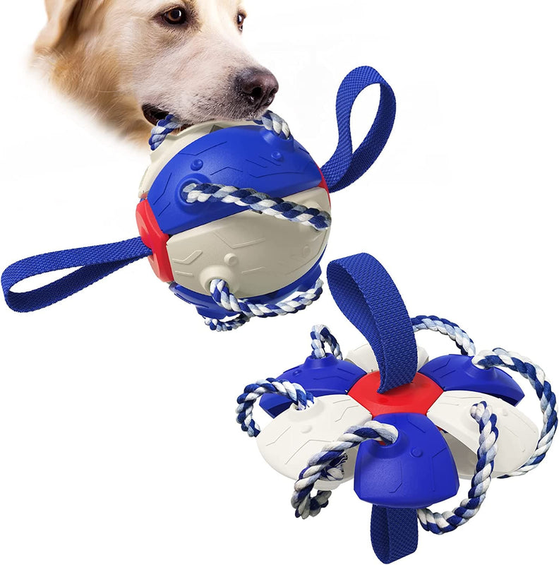 Pelota Frisbee Para Mascotas
