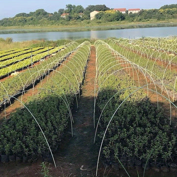 Soporte pequeño para arco de cobertizo, cobertizo para vegetales, cobertizo para flores, soporte aislante para plántulas, red protectora solar, segundo soporte para cobertizo, fibra de vidrio