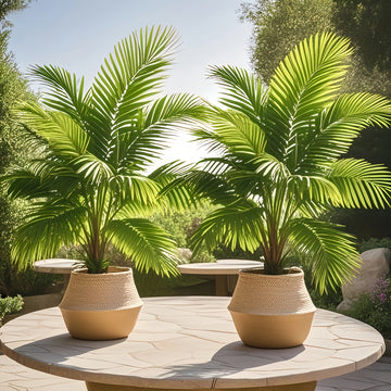 Juego de 2 palmeras artificiales tropicales de gran tamaño de 127 cm - Hojas verdes vibrantes, decoración duradera de plástico para interiores y exteriores, adecuada para Navidad, Acción de Gracias, Día de la Madre, Domingo de Ramos | No se necesita rega