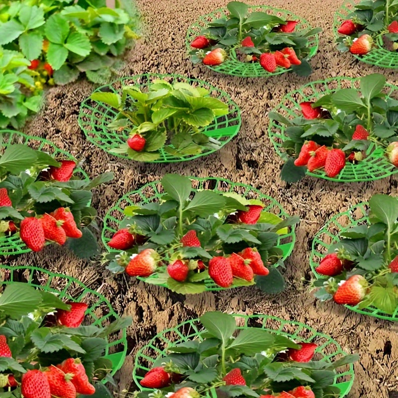 Pack de 10 Soportes para Plantas de Fresa Resistentes con Jaula de 3 Patas - Diseño en Forma de Abanico, Verde para Jardín y Balcón - Montaje Fácil, Ahorro de Espacio, Drenaje Saludable y Producción de Frutos - Ideal para Huertos Caseros y Granjas Comerc