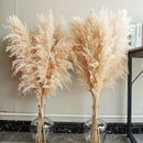 Pasto de las pampas natural de 10 ramas, 116.84 cm, decoración para bodas, fiestas, casas de campo y estilo bohemio