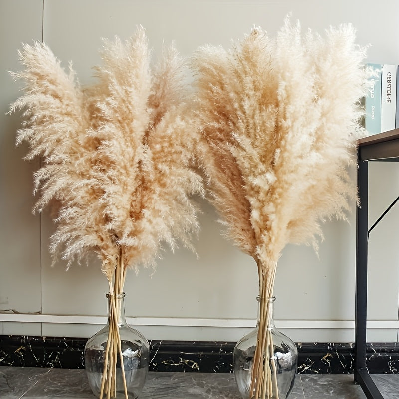 Pasto de las pampas natural de 10 ramas, 116.84 cm, decoración para bodas, fiestas, casas de campo y estilo bohemio