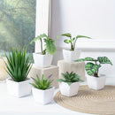 1set 6pcs-Combinación de Plantas Simuladas Suculentas Artificiales Planta Verde Bonsái Decoración de Interior Adorno de Escritorio de Oficina Estilo Nórdico Decoraciones de Plantas en Maceta Pequeñas Simuladas