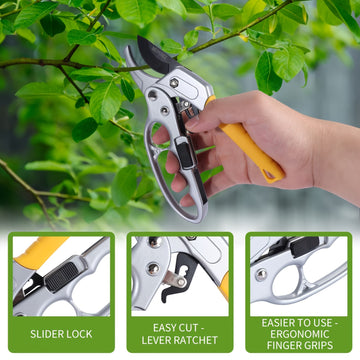 Tijeras de poda profesionales, tijeras de jardín de paso de oveja, hoja de acero, mango ergonómico, ratchet segmentado afilado, con bloqueo deslizante, para podar de manera eficiente, esenciales para el jardinería doméstico.