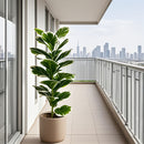 1 planta artificial de estilo europeo para exterior, maceta de lujo con 23 hojas grandes blancas y verdes, ideal para interior/exterior, árbol falso para todas las estaciones - sin incluir maceta