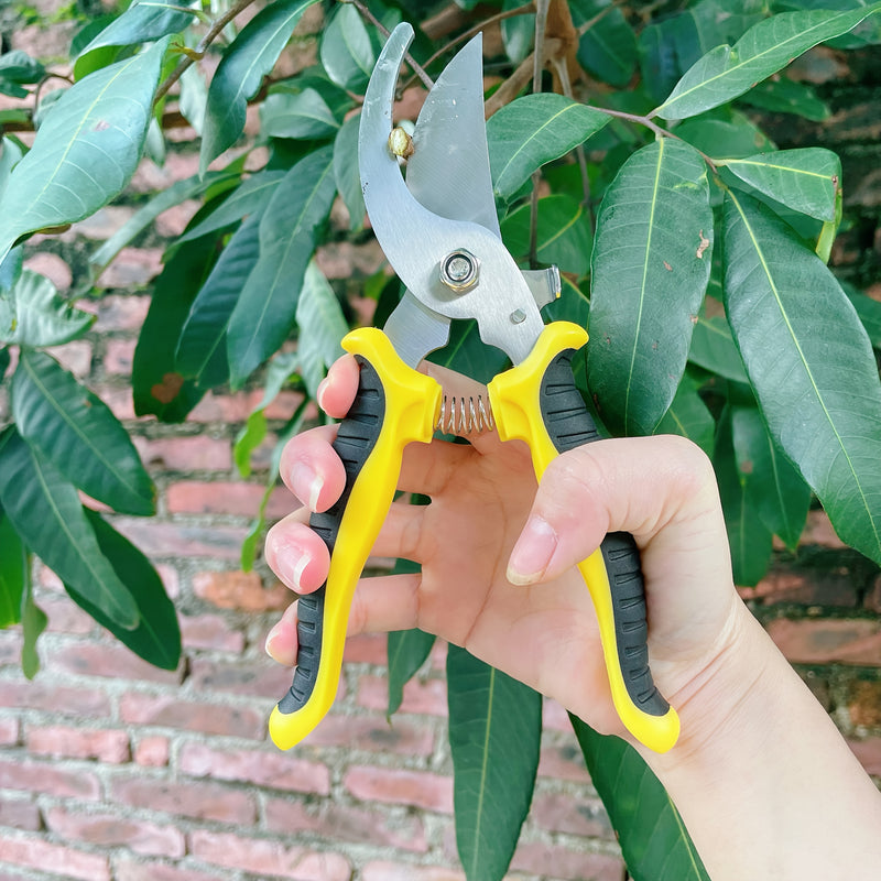 Tijeras de poda de ramas de frutas de acero inoxidable de varios colores, tijeras de jardín, podadores multifuncionales, herramientas de bonsái al aire libre para jardinería