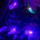 Extensión Bombillos 5 M Botellas X10 Luces Navidad 1603