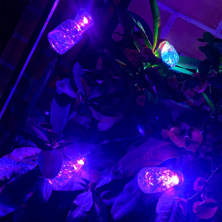 Extensión Bombillos 5 M Botellas X10 Luces Navidad 1603