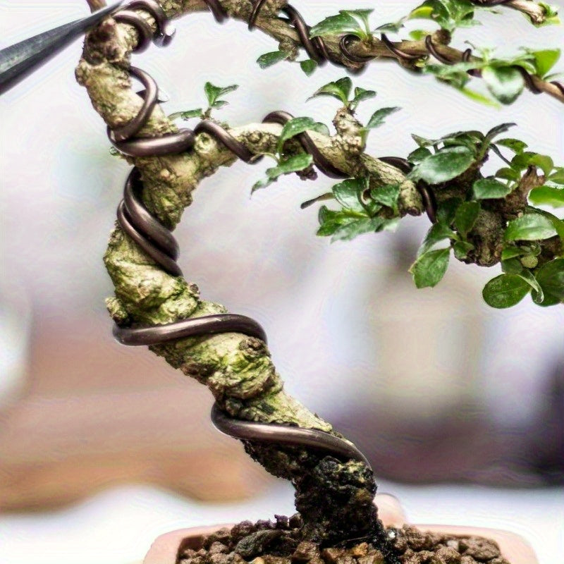 1 Rollo de Alambre Flexible para Bonsái Resistente - 4mm de Grosor x 23 Pies de Largo, Aluminio Anodizado Antioxido Marrón, Soporte para Plantas y Arreglos Florales, Ideal para Jardineros Profesionales y Casuales, Uso Interior/Exterior, Diseño Enrollado,