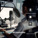 Paquete de equipo para podcasts, interfaz de audio V8s, micrófono con cable, tarjeta de sonido integrada y micrófono condensador BM800, ideal para grabación, transmisión en vivo y emisiones