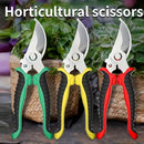 3 Piezas de Tijeras para Jardinería, Cortar Rama en Acero Inoxidable, Herramientas para Recolección de Frutas y Flores, Tijeras Artísticas para Corte de Ramas