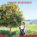 Pulidor de frutas de acero inoxidable con cesta acolchada - Herramienta de jardín moderna para recoger frutas de manera eficiente, no necesita electricidad, equipo de huerta | Mango ergonómico | Cosechador de frutas duradero