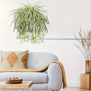 4pcs Grandes Orquídeas Artificiales Colgantes - Perfectas para el Hogar, Jardín, Oficina y Decoración de Bodas, Decoración Interior, Plantas Artificiales