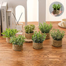 Juego de 3 Piezas de Plantas Artificiales de Eucalipto y Lavanda en Macetas - Decoraciones de Buxo Falso, Romero y Planta Dinero para el Hogar, Oficina y Jardín - Perfectas para Exhibición en Mesas, Fiestas y Decoración Estacional