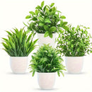 Juego de 4 Plantas de Eucalipto en Maceta Realistas - Perfecto para Decoración de Hogar y Oficina, Incluye Contenedores