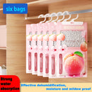 Bolsas absorbentes de humedad sabor durazno, 4/6/10 unidades, ideales para dormitorio, sala, cocina, baño, residencias estudiantiles, bodegas, etc., colgantes para interiores