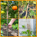 1 Paquete de Cuerda de Yute Natural - 328 Pies, 2mm en Tonos Terrosos Resistentes, Adecuado para Jardinería, Empaquetado de Manualidades y Decoraciones Festivas - Fibra Duradera de Alta Calidad, Ideal para Entrenamiento de Plantas, Tejido y Proyectos DIY
