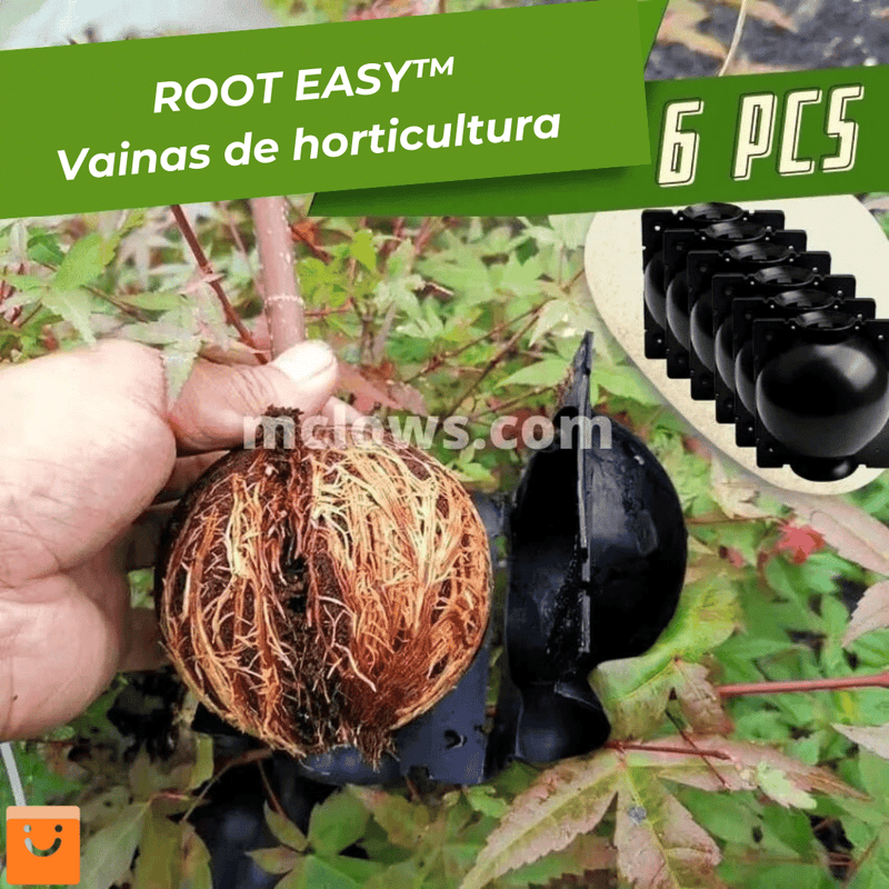 PACK 5 Unds RootEasy™️ - Cultiva plantas rápidamente