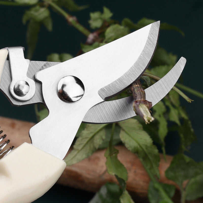 Pack de 2 Tijeras para Jardín Resistentes - Cortaúñas Rectos y de Desvío con Mangos Blancos Ergonómicos, Agarres Antideslizantes y Construcción Duradera para Flores, Plantas, Bonsái, Frutas - Ideales para Jardineros Caseros y Paisajistas Profesionales, H