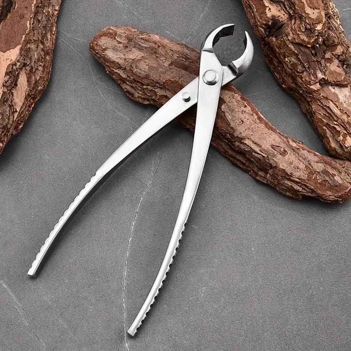 Tijeras de Poda Profesional para Bonsái - Tijeras de Jardín Ergonómicas de Acero Inoxidable para Recortar con Precisión Raíces y Ramas, Ideales para Plantas en Macetas