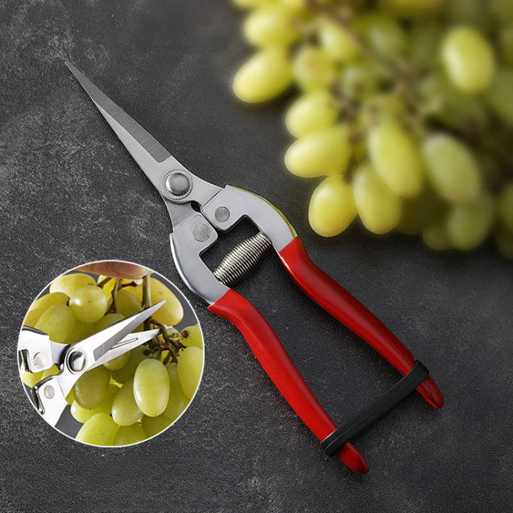 Tijeras de podar para jardín, juego de 4 piezas - Tijeras de fruta de acero inoxidable ambidiestras, podadoras manuales de derivación para el mantenimiento de jardines y bonsáis, recolección de uvas, poda de árboles y ramas sin electricidad ni baterías.