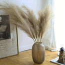 16 piezas de hierba de pampas artificial beige - 54.99 cm de alto, flores de caña de tela suave para decoración del hogar, perfectas para sala de estar, Navidad, Halloween, Pascua, Hanukkah - No necesita contenedor, decoración festiva para mesa|Aparienci