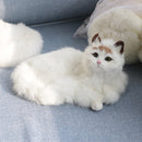 Decoración de hogar multifuncional con modelo simulado de gato, formas realistas, adecuadas como regalos