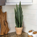 3-6 Pack Planta Artificial Sansevieria, Plástico Graptosedum Planta de Culebra para Decoración Interior y Exterior, Planta de Piso de Verde Falso para Hogar, Oficina, Aniversario, Navidad, Pascua, Día de San Patricio, Día de San Valentín, Muharram/Año Nu