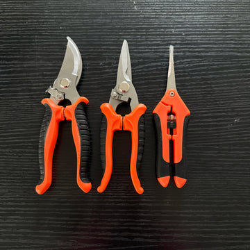 Juego de 3 tijeras profesionales para podar flores y jardinería con cuchillas de acero inoxidable, herramienta manual de podado en empaque de caja